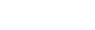 IV305